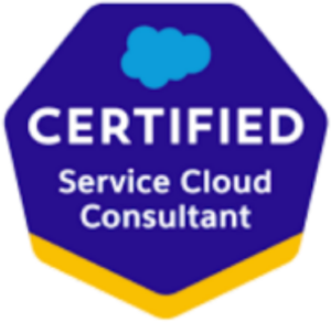 Selo Salesforce (25)